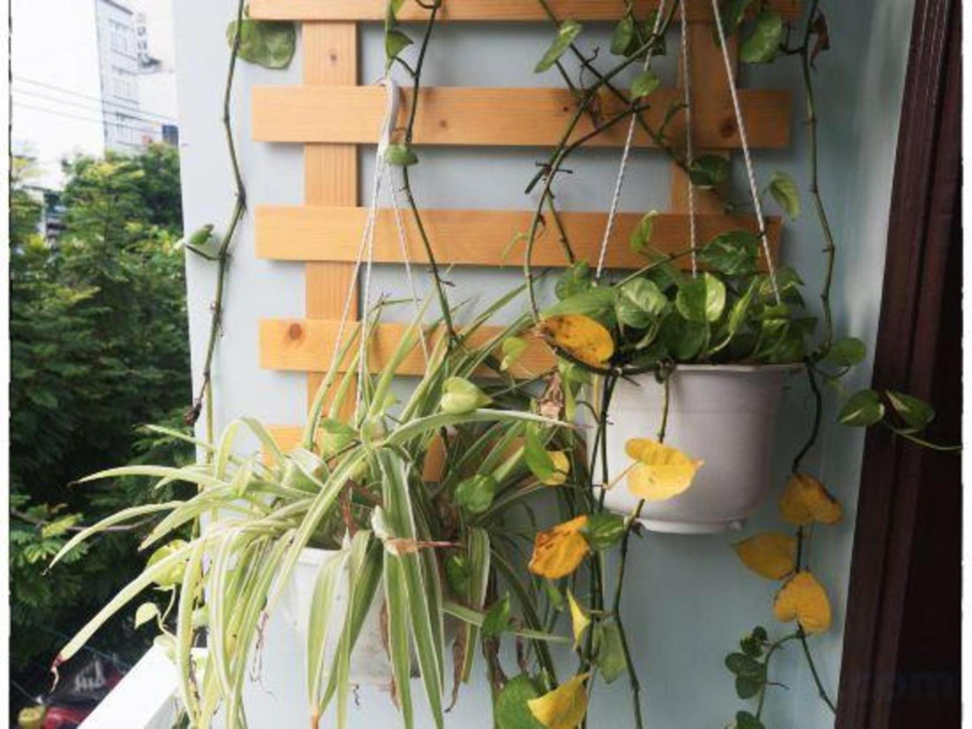 Oyo 1168 Elly'S Home 2 Đà Nẵng Exterior foto